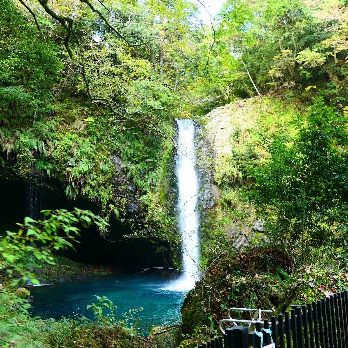🏞️ 조렌 폭포 (浄蓮の滝) 이미지 3